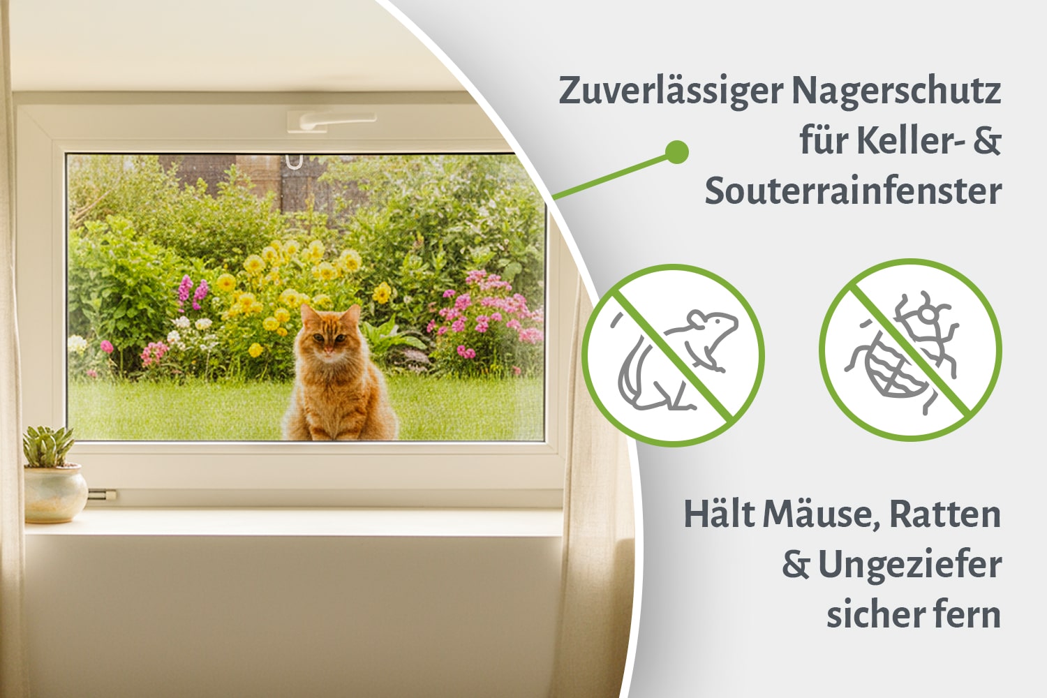 Fliegengitter Fenster Nagerschutz "MASTER SLIM", Aufgebaut - Zuschnitt - Alurahmen