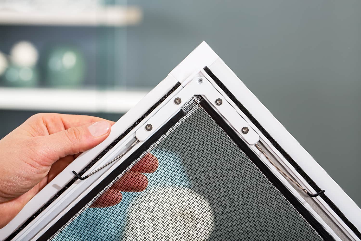 Fliegengitter Fenster "FLEX", flächenversetzte Fenster - Alurahmen - Zuschnitt